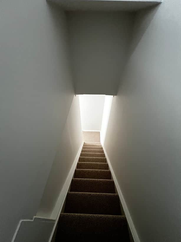 Premium Dulux interior painting project in Dover Heights